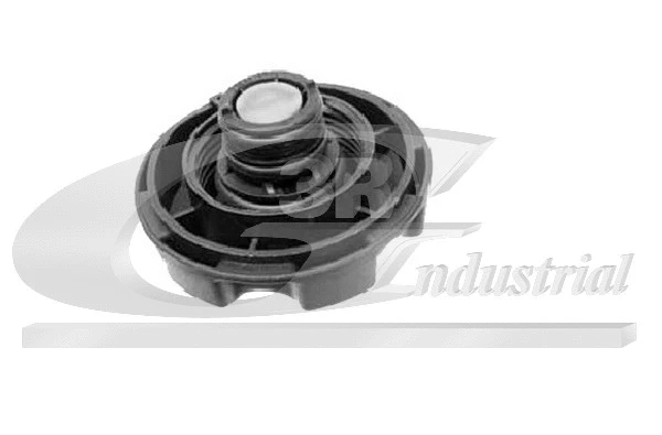 Cap, coolant tank (80116)