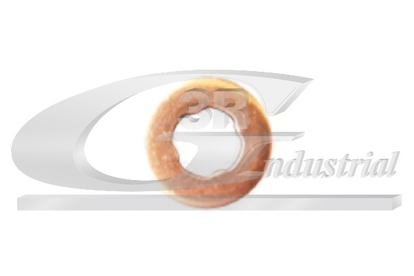 Seal Ring, injector (83756)