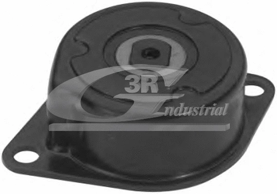 Tensioner Lever, V-ribbed belt (13716)