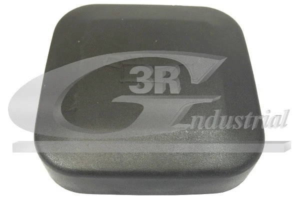 Sealing Cap, oil filler neck (80524)