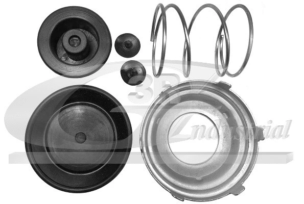 Repair Kit, fuel pump (80033)