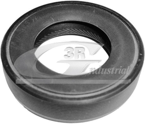 Shaft Seal, differential (80209)