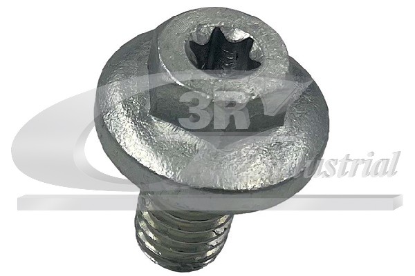 Screw Plug, oil sump (83093)