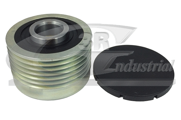Alternator Freewheel Clutch (13906)