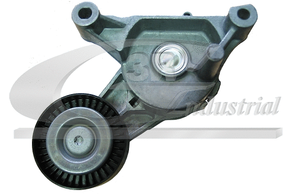 Tensioner Lever, V-ribbed belt (13746)