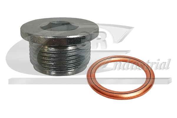 Repair Kit, oil sump (83539)