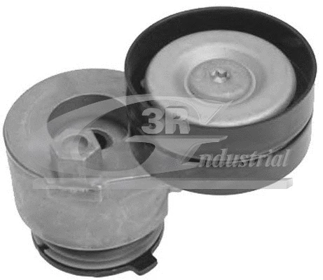 Tensioner Lever, V-ribbed belt (13410)