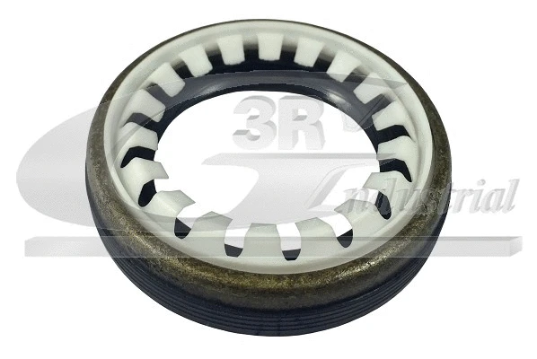 Shaft Seal, differential (80210)