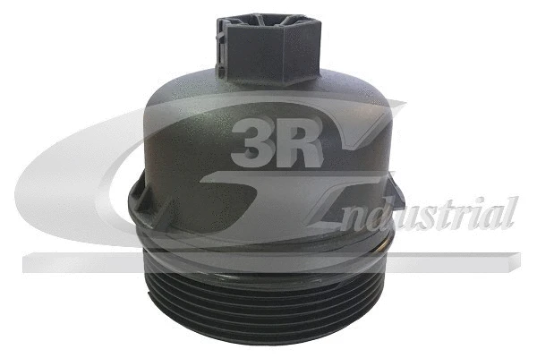 Cap, oil filter housing (81219)