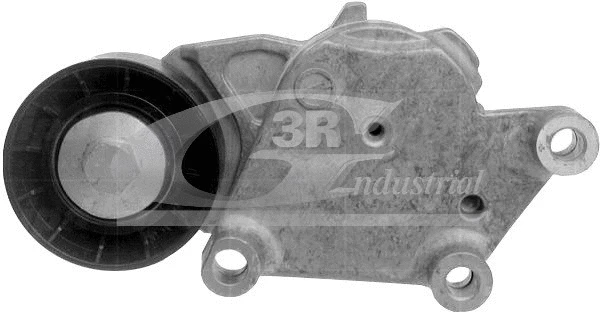 Tensioner Lever, V-ribbed belt (13242)