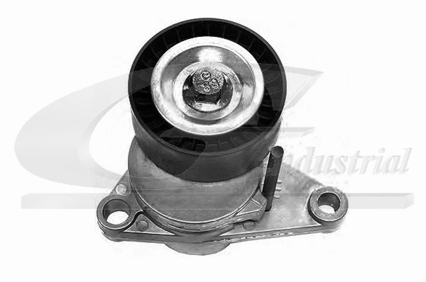 Tensioner Lever, V-ribbed belt (13201)