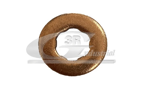 Seal Ring, injector (87203)