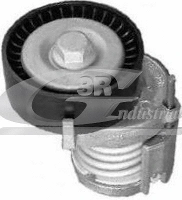 Tensioner Lever, V-ribbed belt (13713)