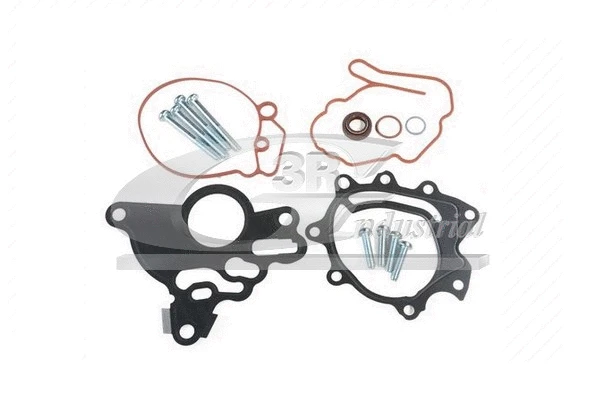 Repair Set, vacuum pump (braking system) (74702)