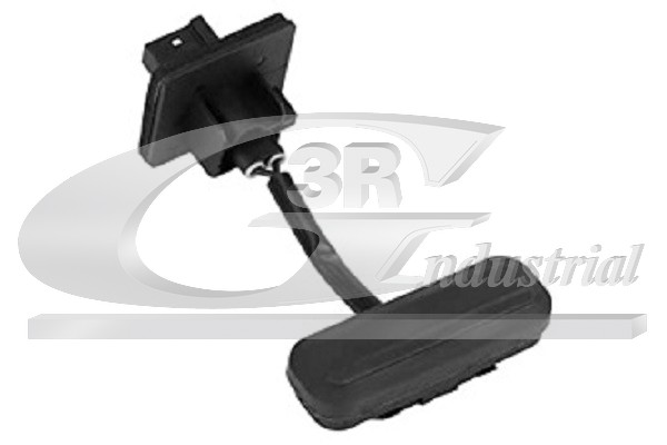 Switch, tailgate release (28408)