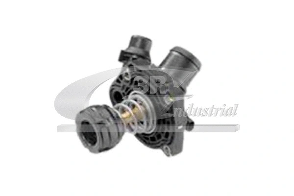 Thermostat, coolant (48100)