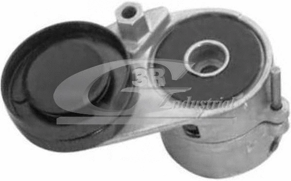 Tensioner Lever, V-ribbed belt (13712)