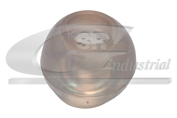 Bushing, selector/shift rod (24718)