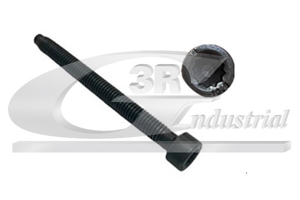 Adjustment Screw, injector pump (99701)