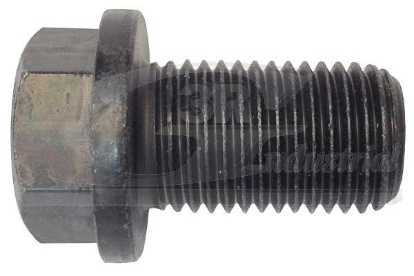 Screw Plug, oil sump (83044)
