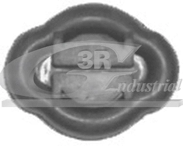Mount, exhaust system (70904)