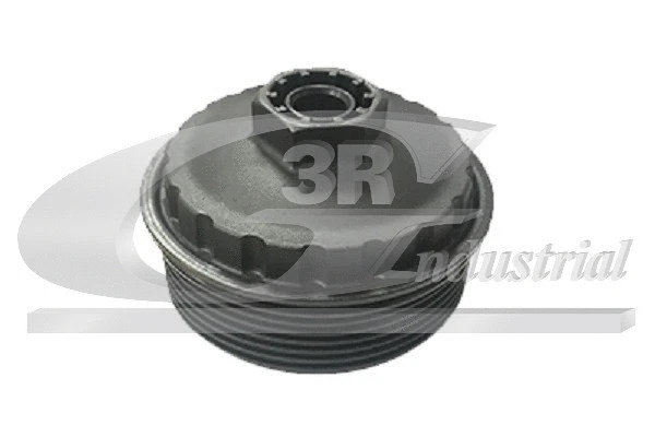 Cap, oil filter housing (81666)