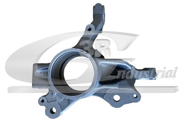 Steering Knuckle, wheel suspension (15322)