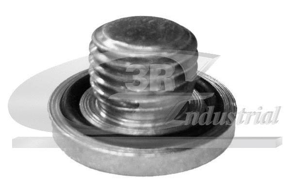 Screw Plug, oil sump (83019)