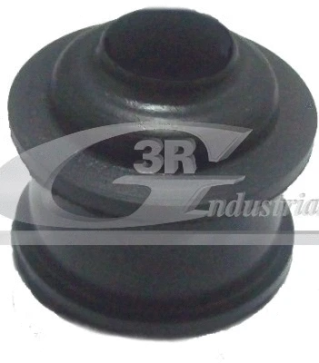 Bushing, selector/shift rod (24612)