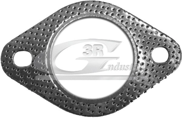 Gasket, exhaust pipe (71307)