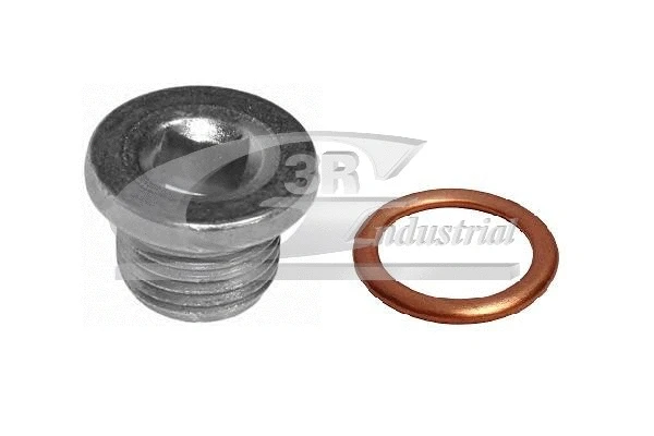 Repair Kit, oil sump (83506)