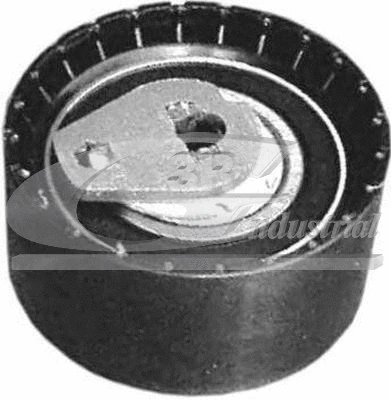 Tensioner Pulley, timing belt (13609)