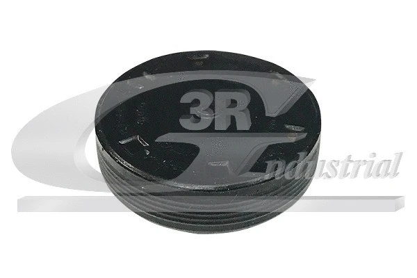 Locking Cover, camshaft (84722)