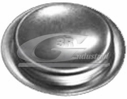 Plug, rocker arm shaft mounting bore (84051)