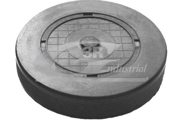Plug, rocker arm shaft mounting bore (80660)
