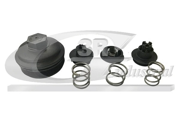 Cap, oil filter housing (84726)