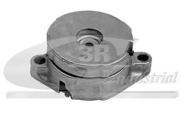Tensioner Lever, V-ribbed belt (13313)
