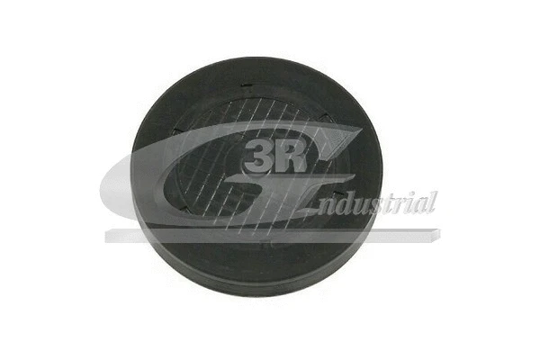 Plug, rocker arm shaft mounting bore (84613)