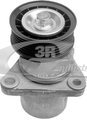 Tensioner Lever, V-ribbed belt (13314)
