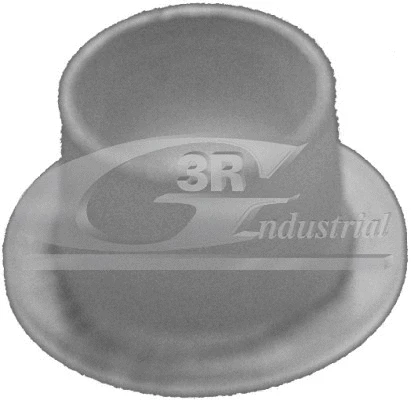Bushing, selector/shift rod (24745)