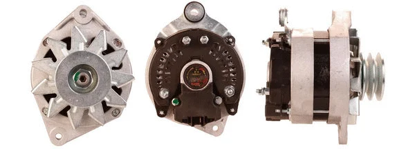 Alternator (530001654)