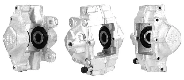 Brake Caliper (4198200)