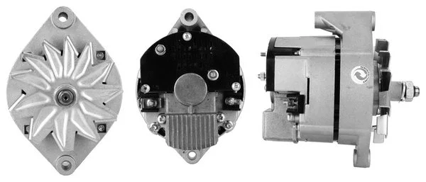 Alternator (500147554)