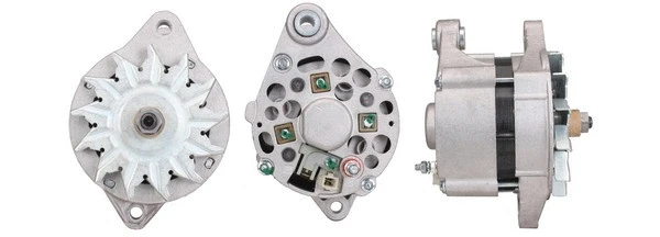 Alternator (518013264)