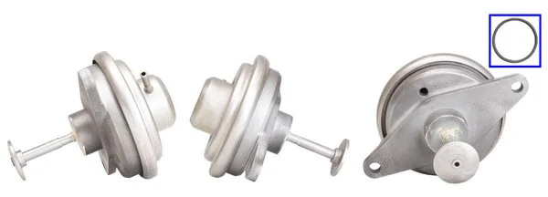 EGR Valve (717710195)