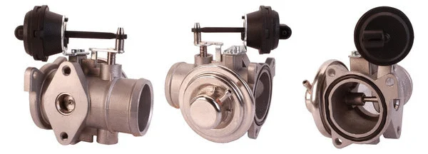 EGR Valve (717710051)
