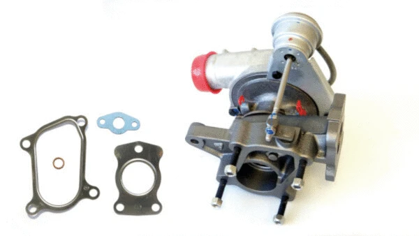 Charger, charging (supercharged/turbocharged) (729110130)