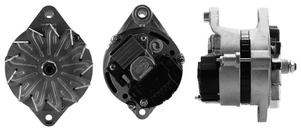 Alternator (218113304)