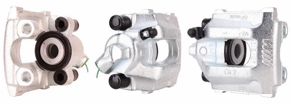 Brake Caliper (4233310)