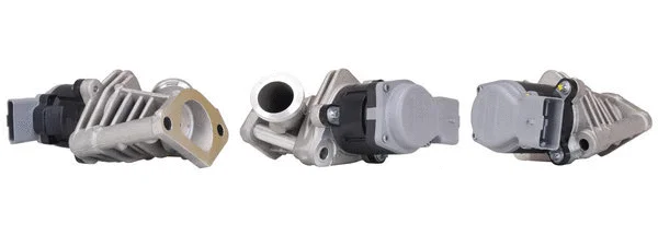 EGR Valve (717730217)
